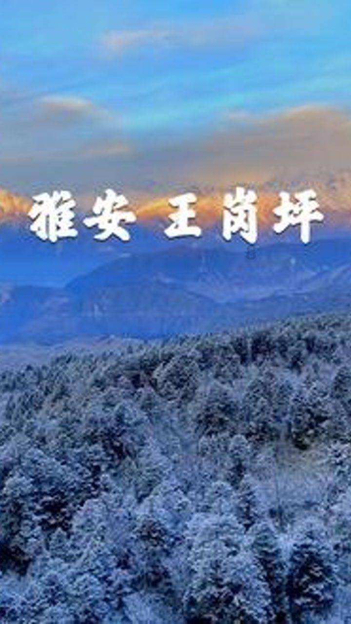 南安牵手华南师大,研究院今日揭牌!